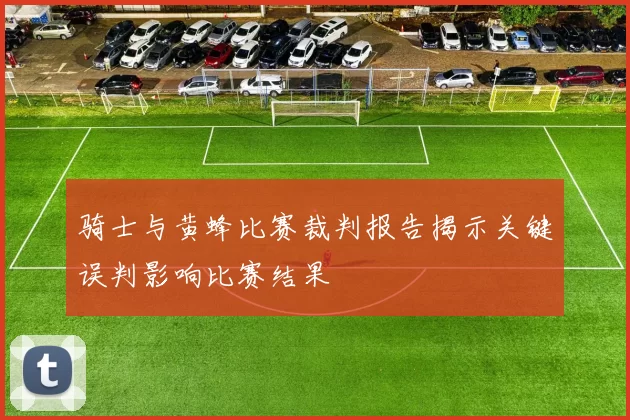 骑士与黄蜂比赛裁判报告揭示关键误判影响比赛结果