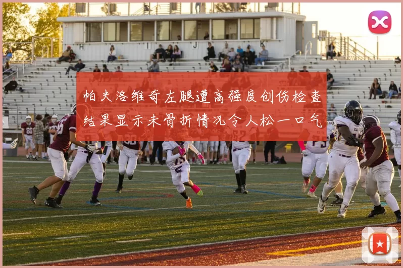 帕夫洛维奇左腿遭高强度创伤检查结果显示未骨折情况令人松一口气